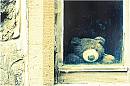 Teddy